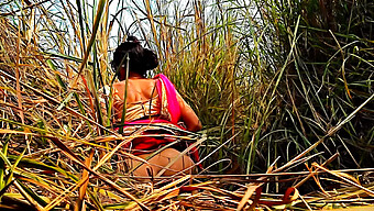 Indiase Tiener Bhabhi Wordt Wild In De Jungle